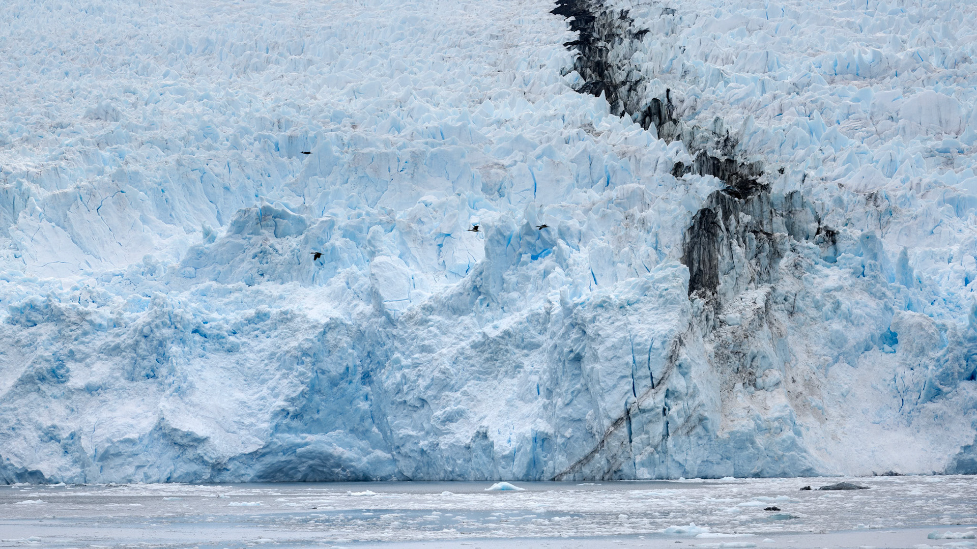 Garibaldi Glacier