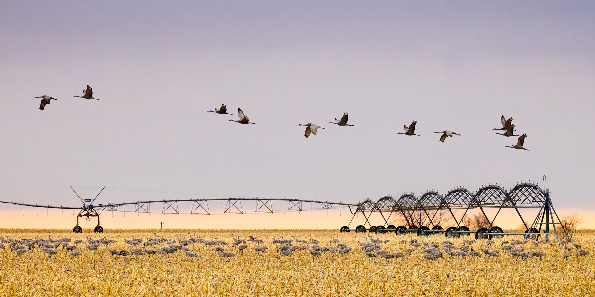 Deep Well Wildlife  Management Area