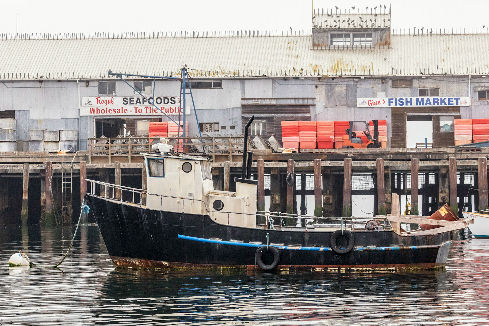 Monterey Marina