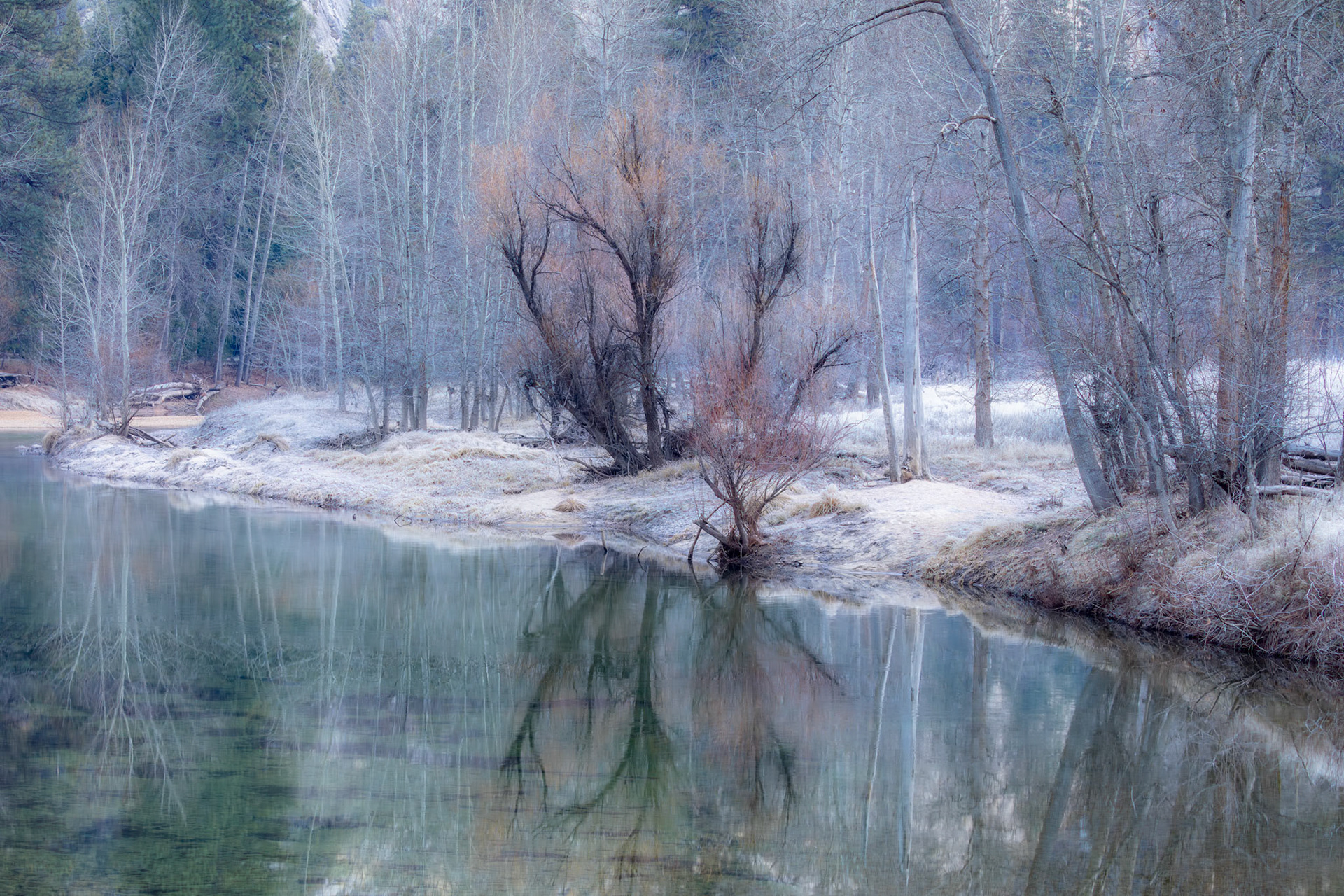 Merced Rivera from the Swinging Bridge