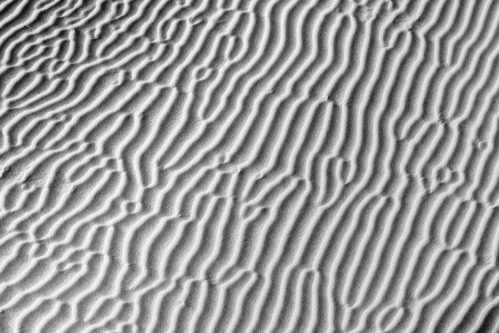 Mesquite Dunes Detail