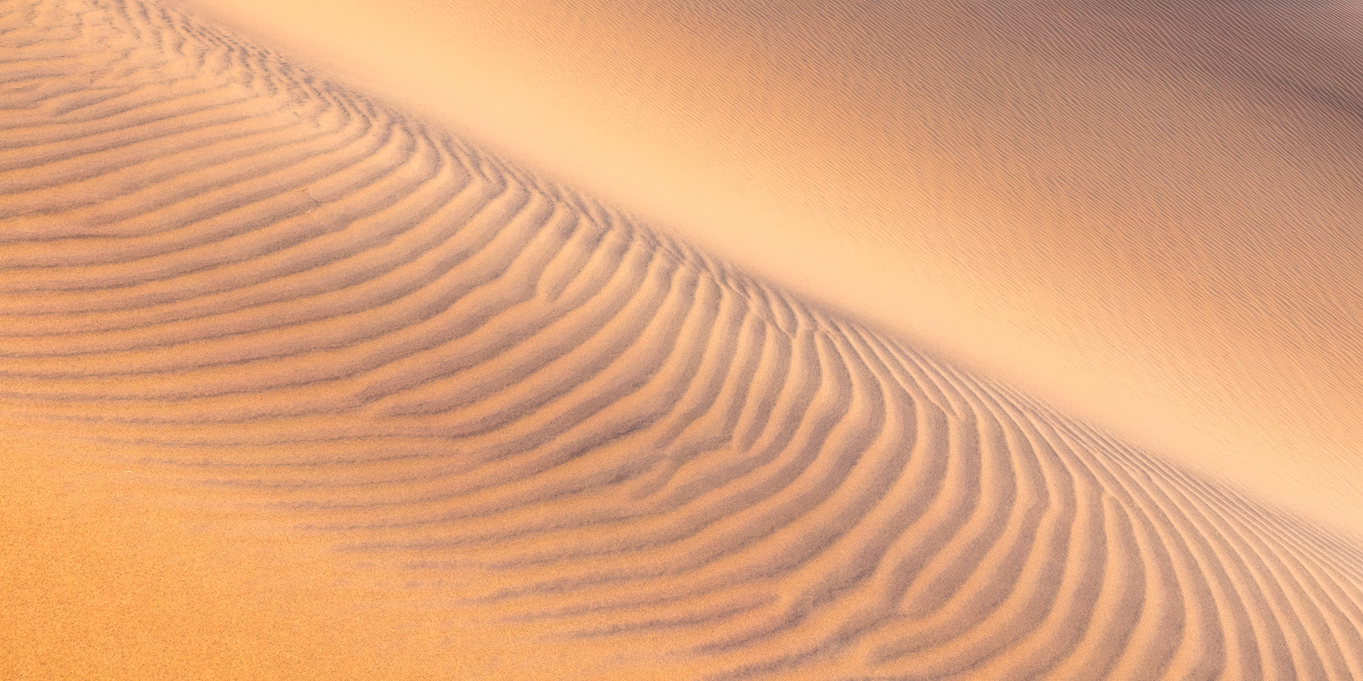 Mesquite Flat Sand Dunes