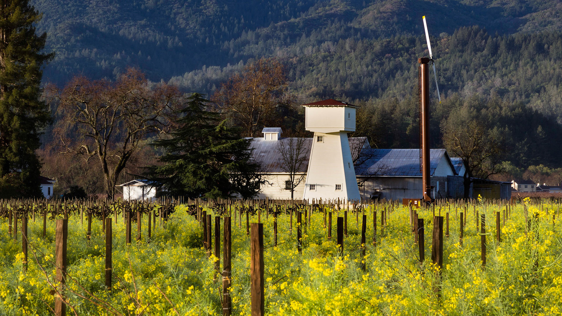 Rossi Ranch, Napa Valley