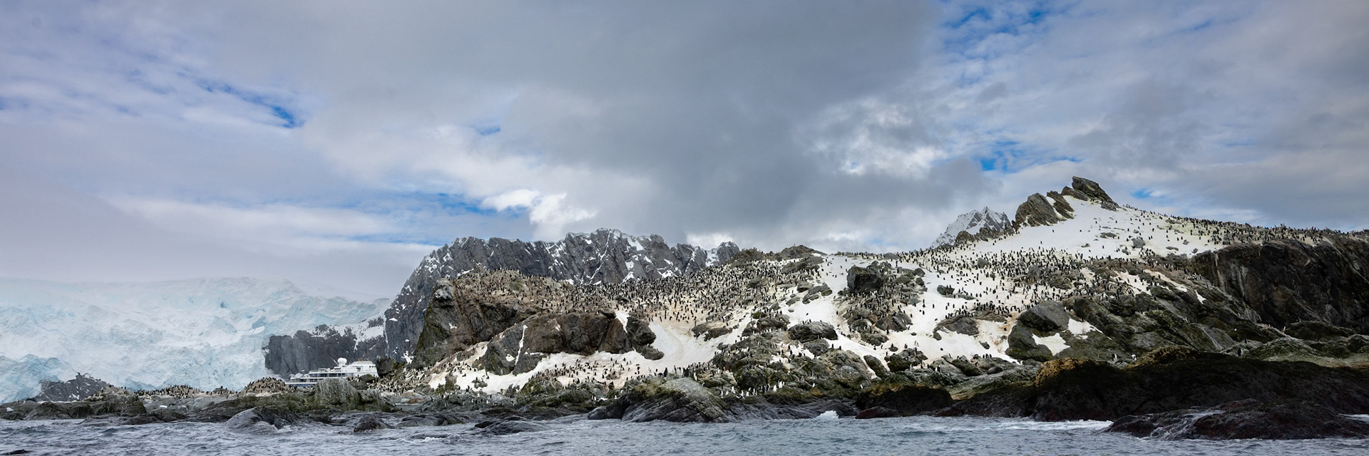 Point Wild, Elephant Island, Antarctic Peninsula, Chinstrap Penguin Colony