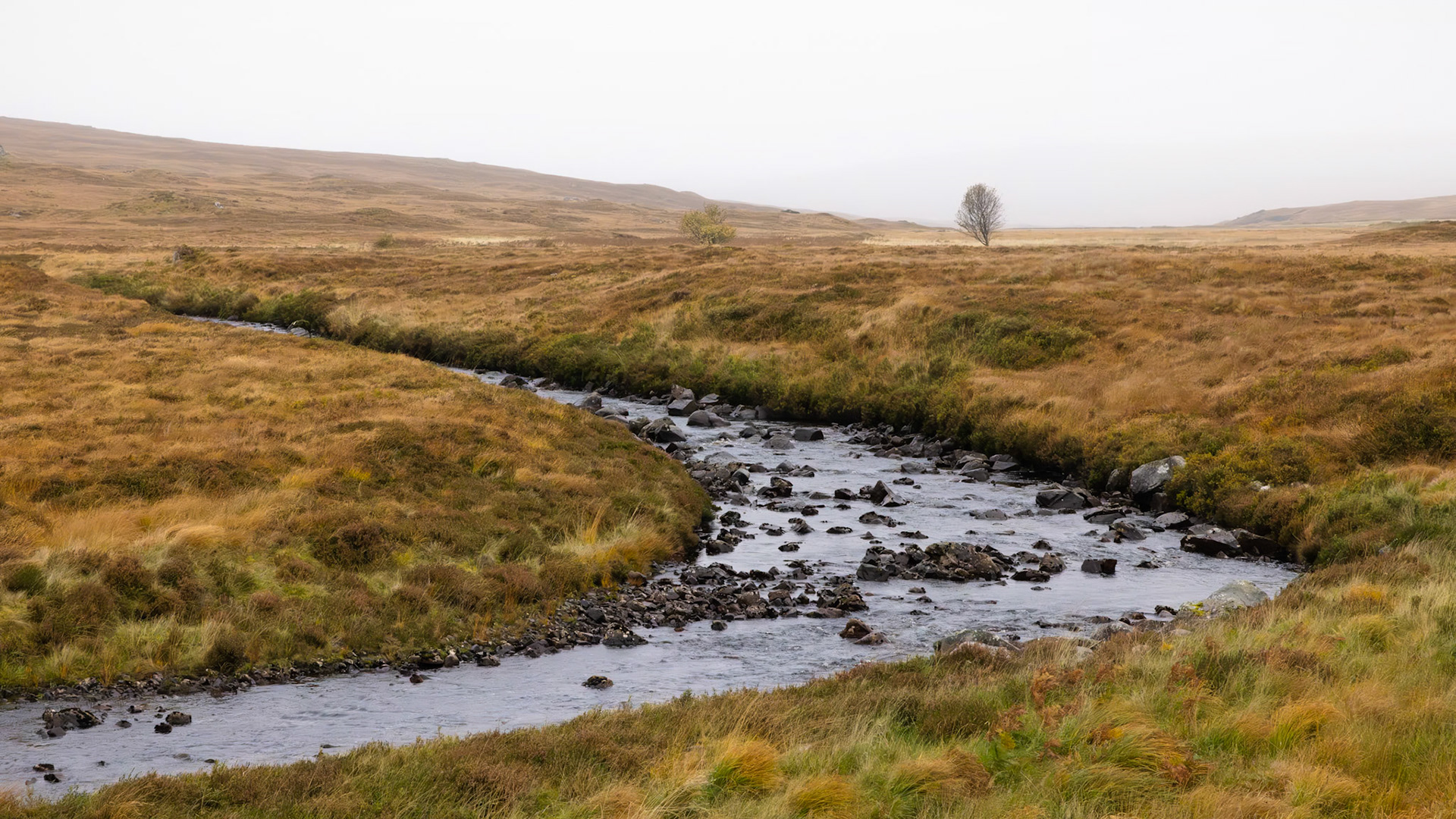 Blanket Peat Bogs of the Flow Country, Northern Highlands