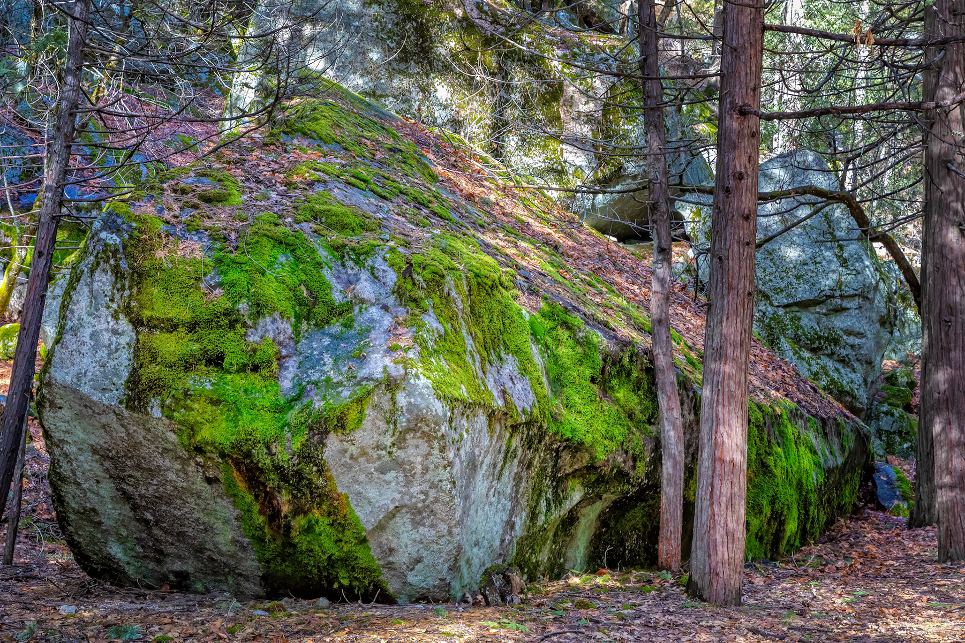 Mirror Lake: along the trail through the rock fall