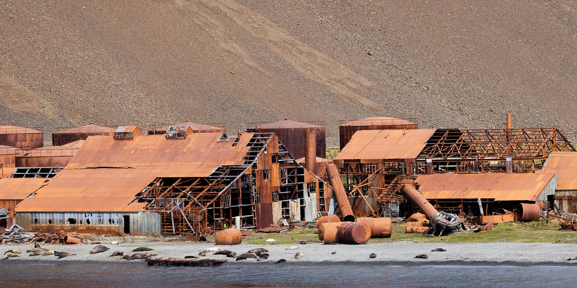 Stromness Whaling Station (1907-1961)