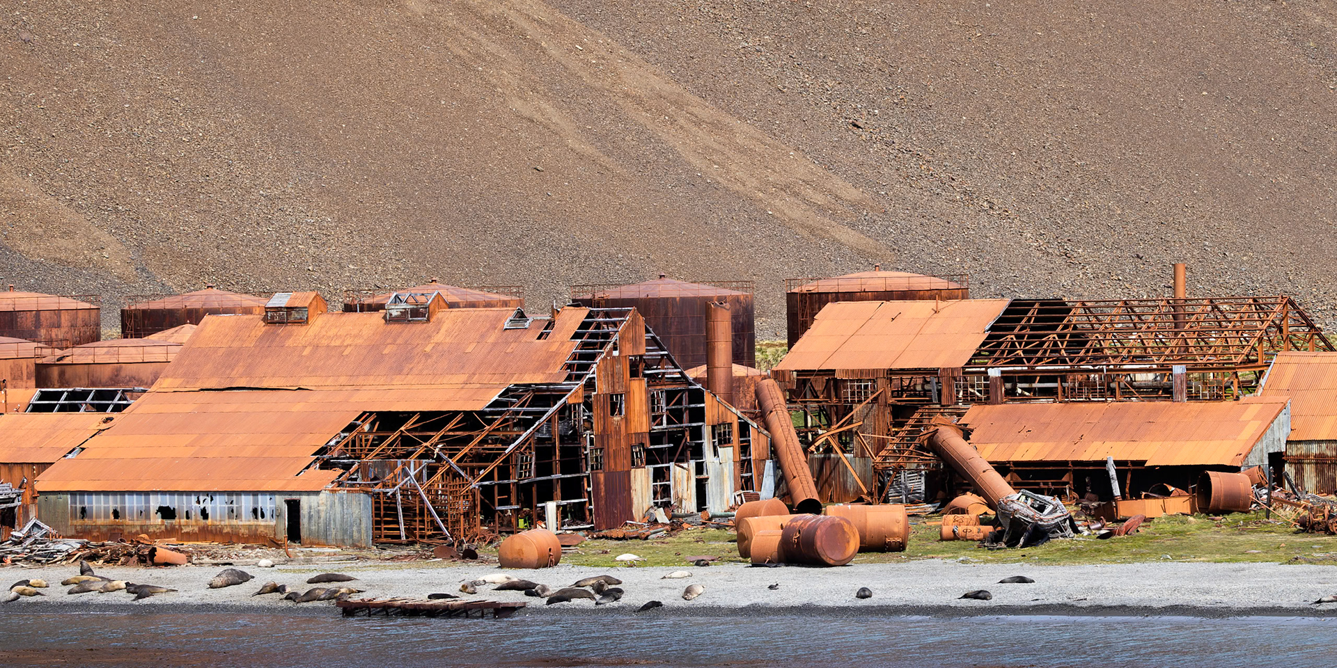 Stromness Whaling Station (1907-1961)