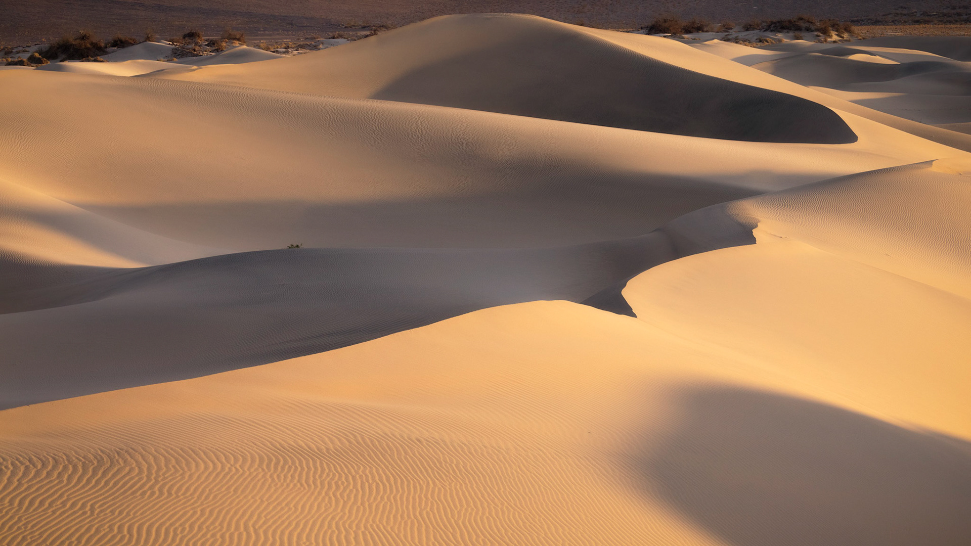 Mesquite Flat Sand Dunes