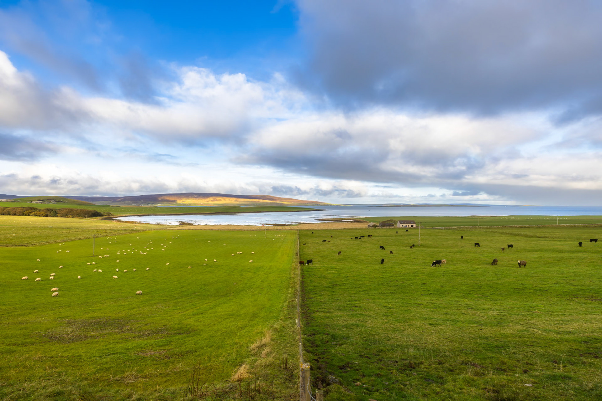 Orkney Islands