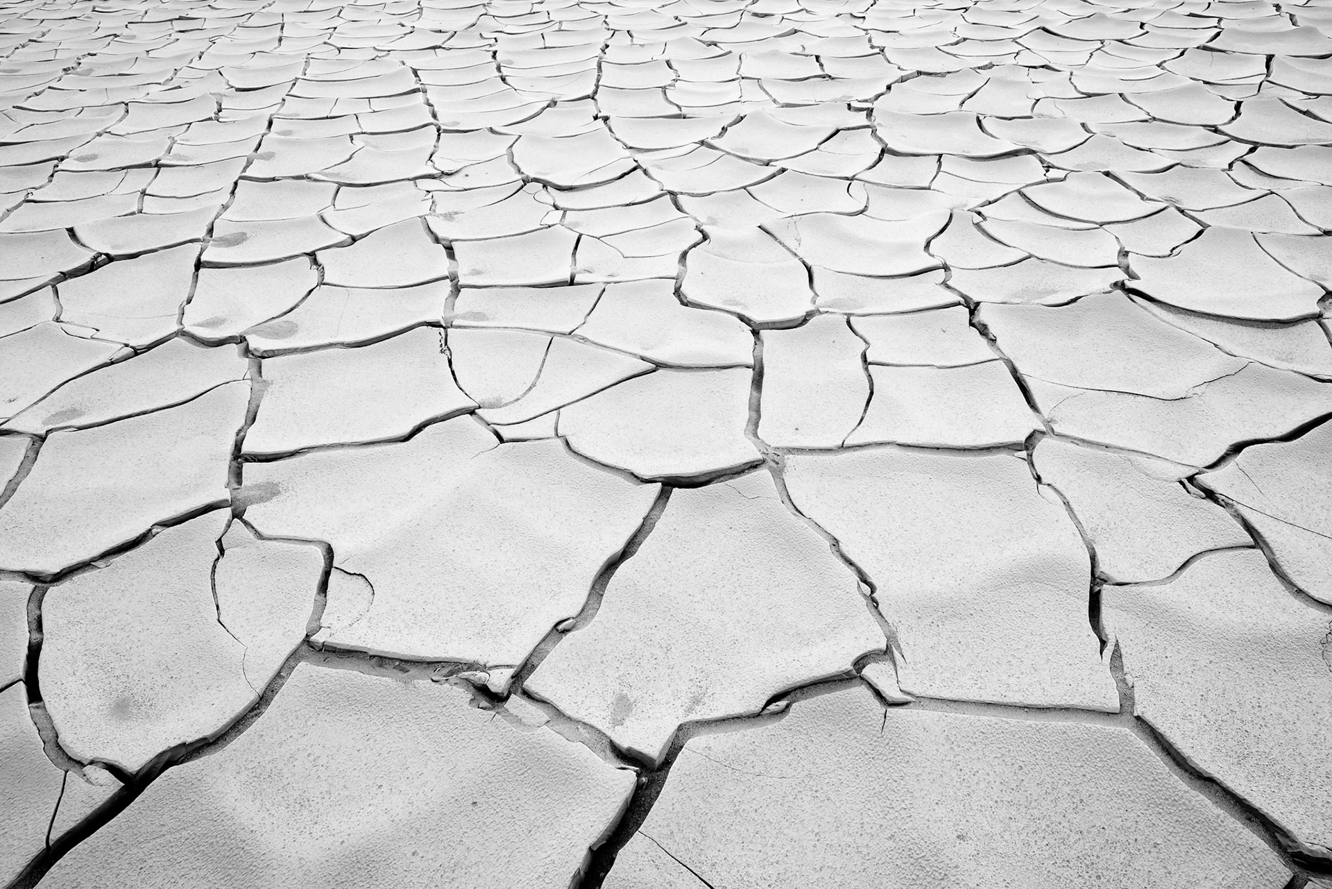 Mud Cracks Sunrise