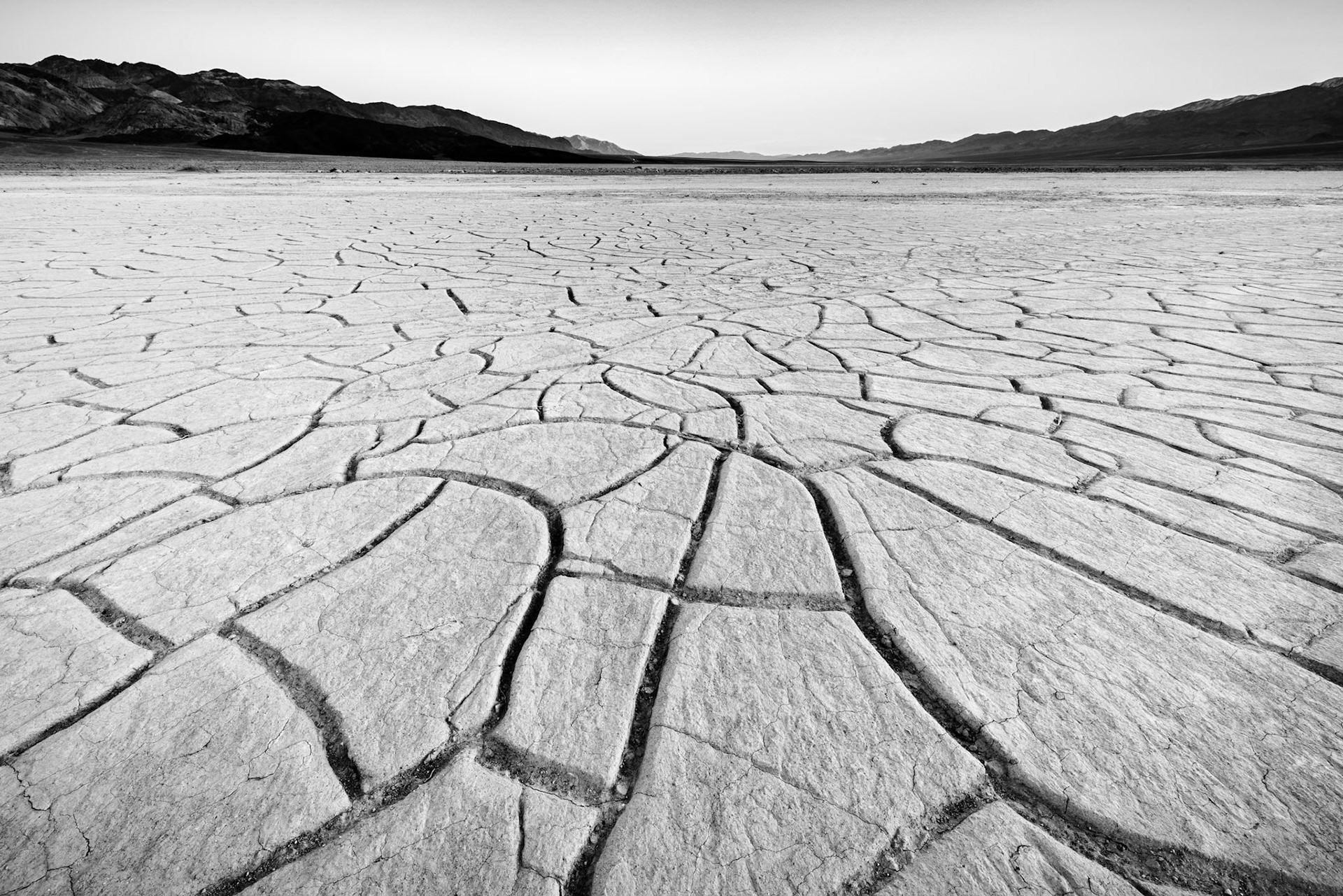 Mud Cracks