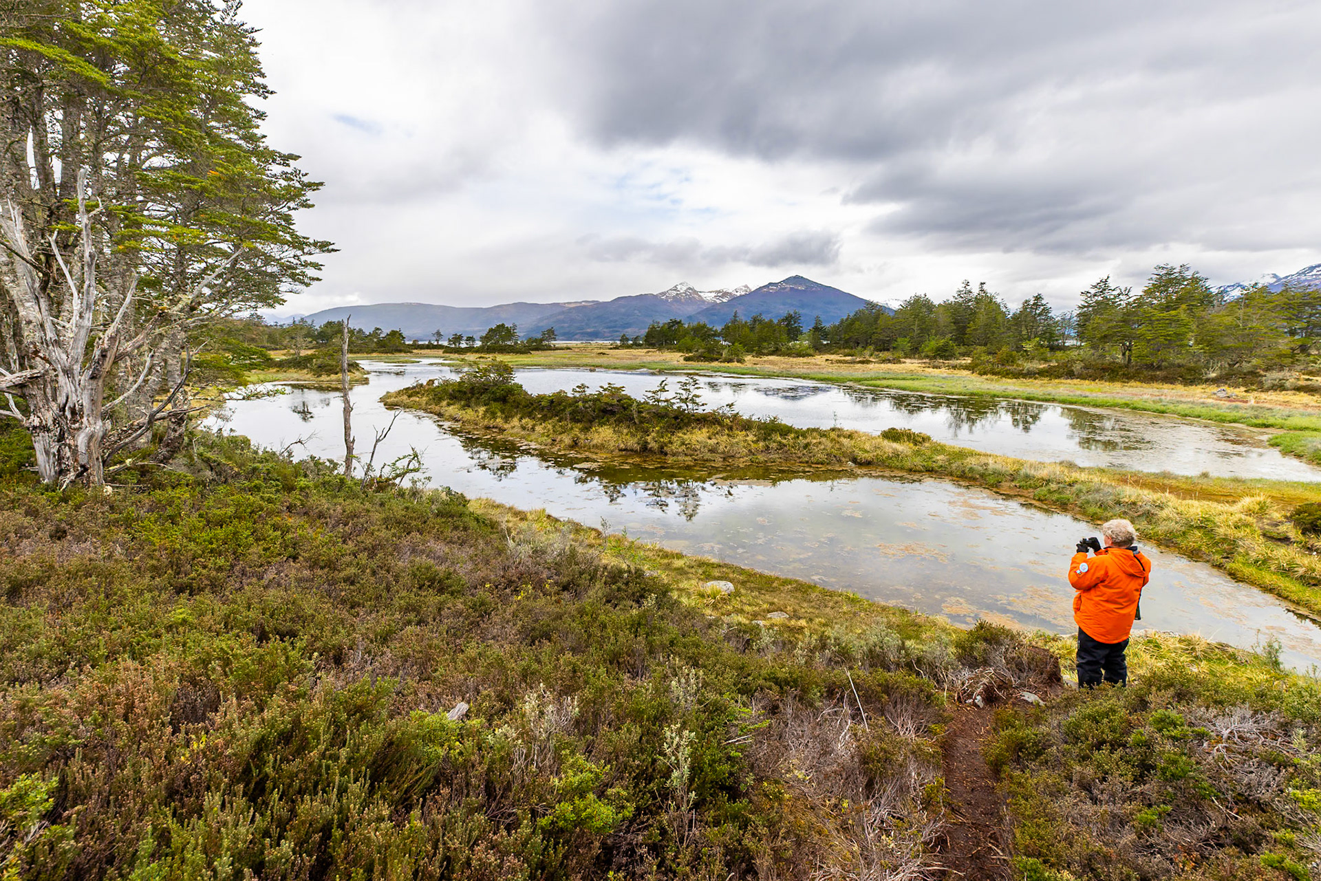Magellanic subpolar forest and bog