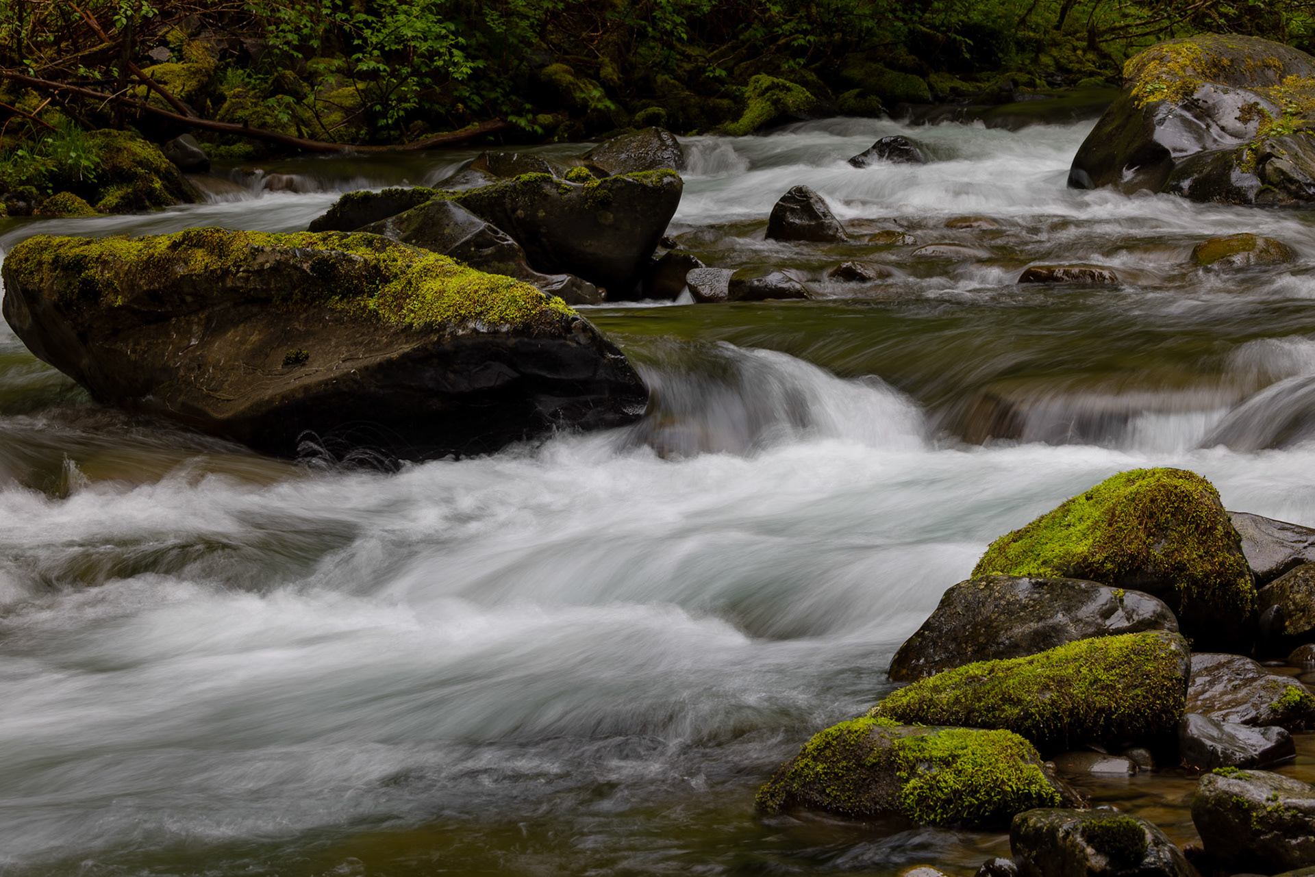 Sol Duc River