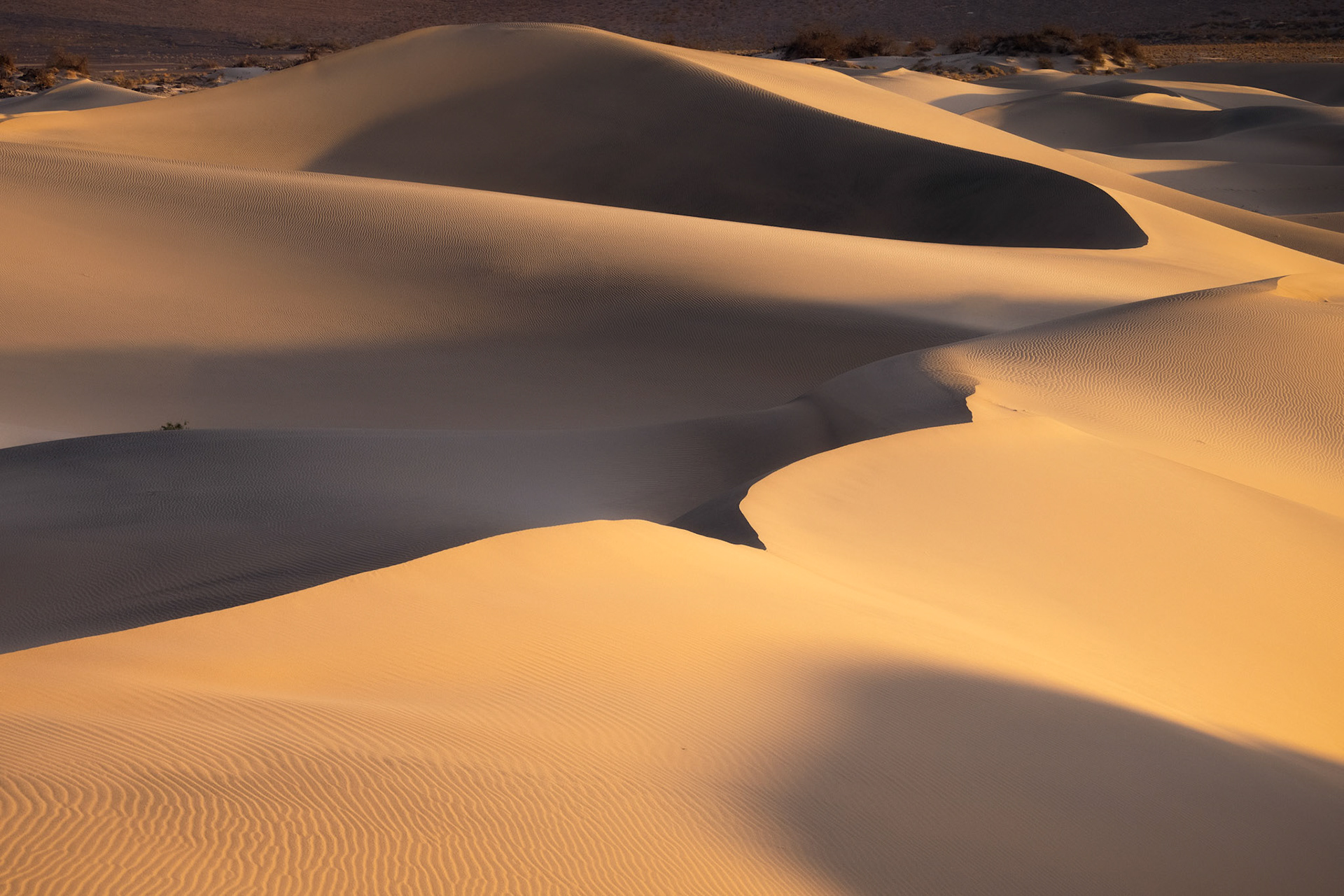Mesquite Flat Sand Dunes