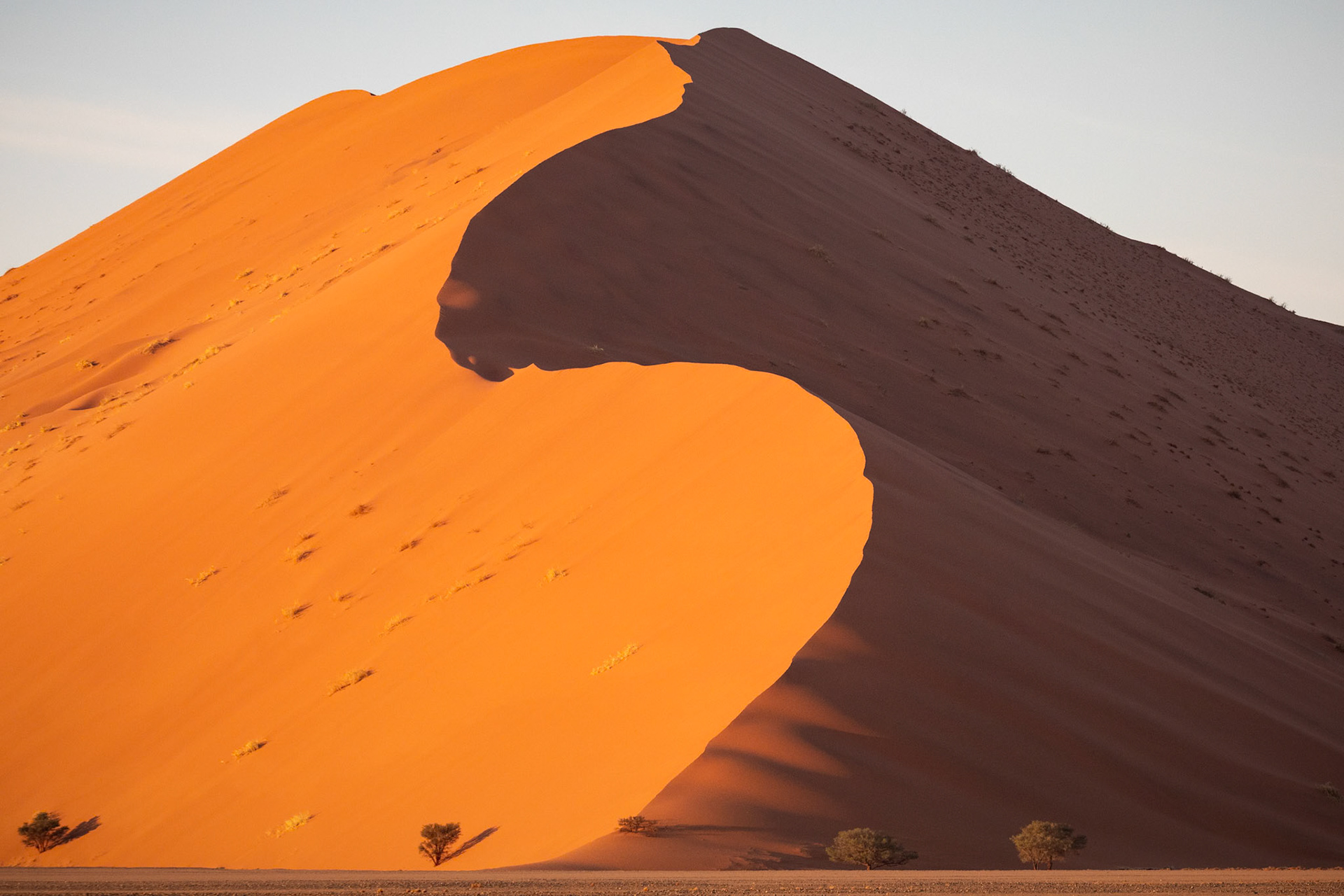 The red dunes of Sossusvlei; Namib-Naukluft National Park