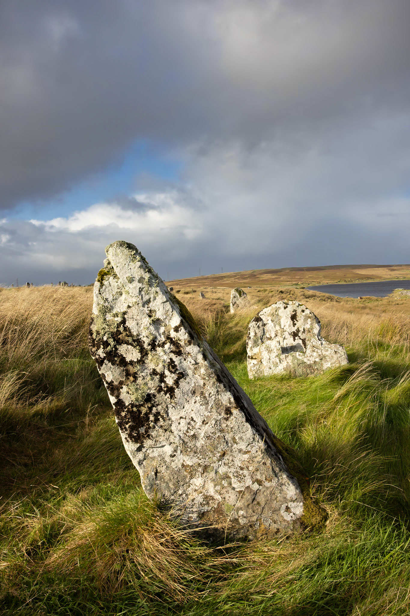 Achavanich Standing Stones