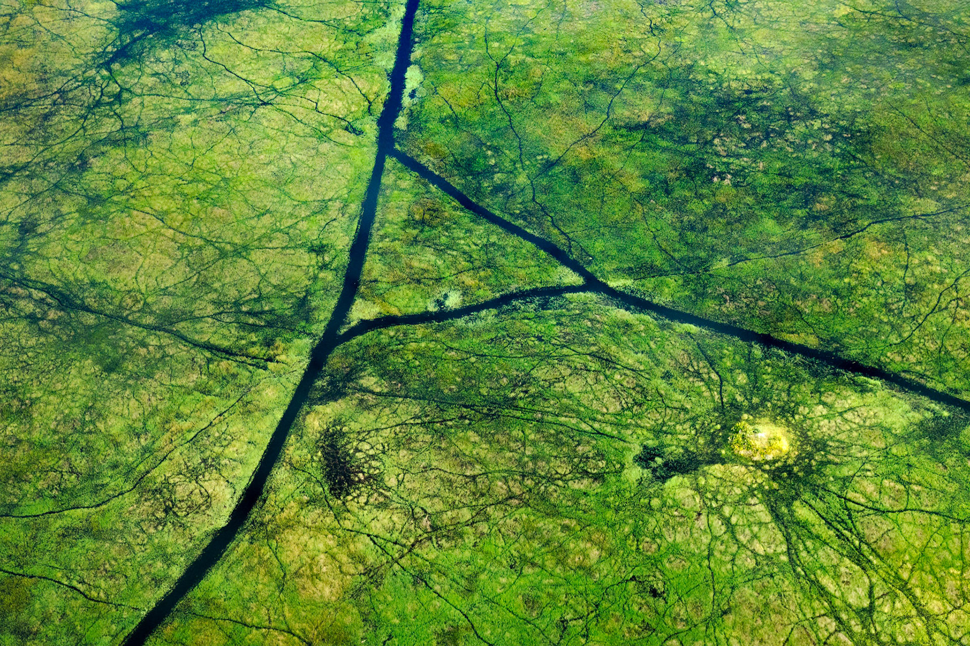 Okavango Delta