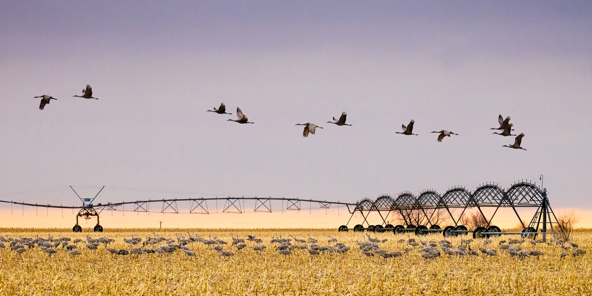 Deep Well Wildlife  Management Area
