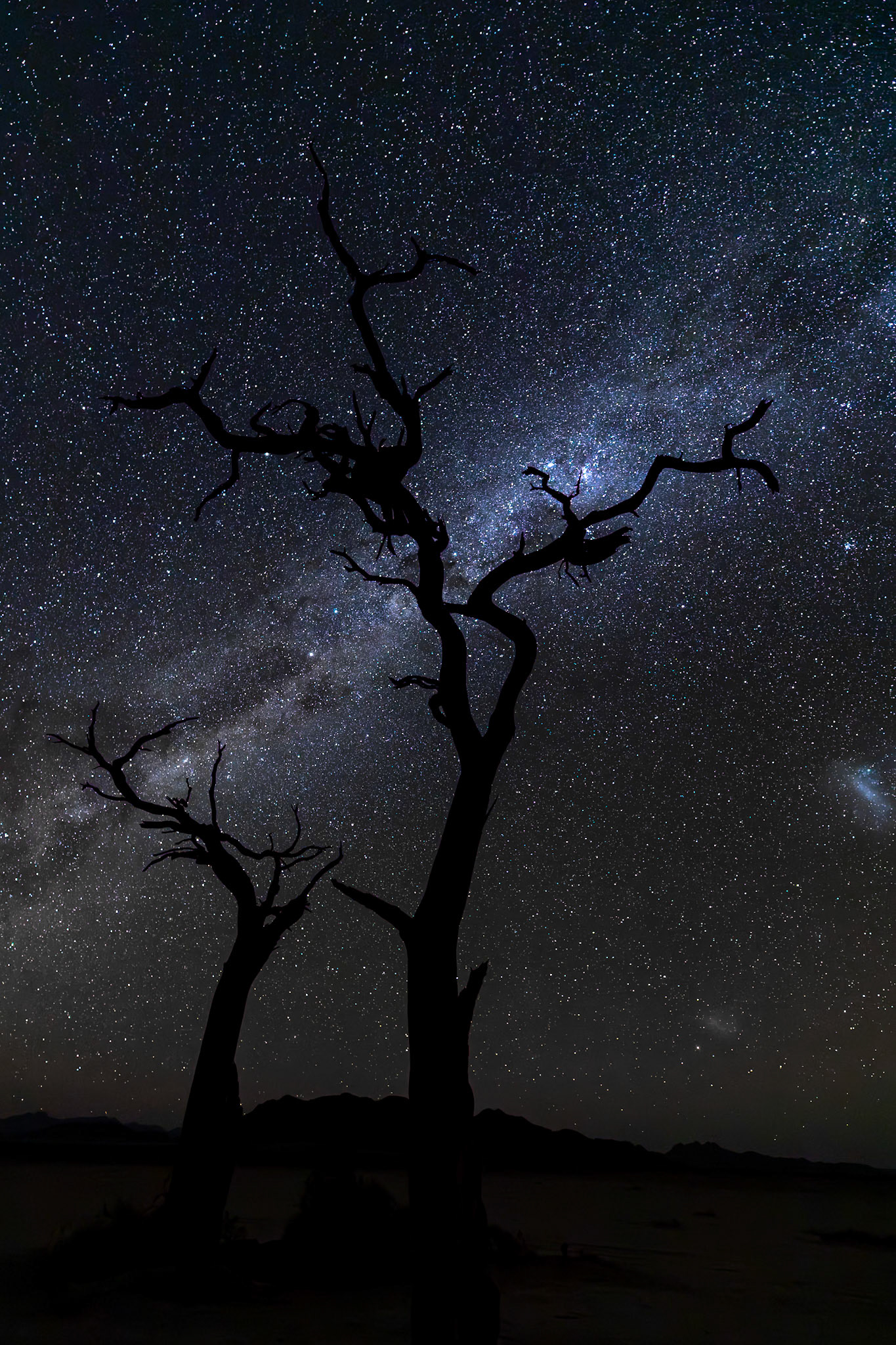 Milky Way; Little Kulala Wilderness Reserve