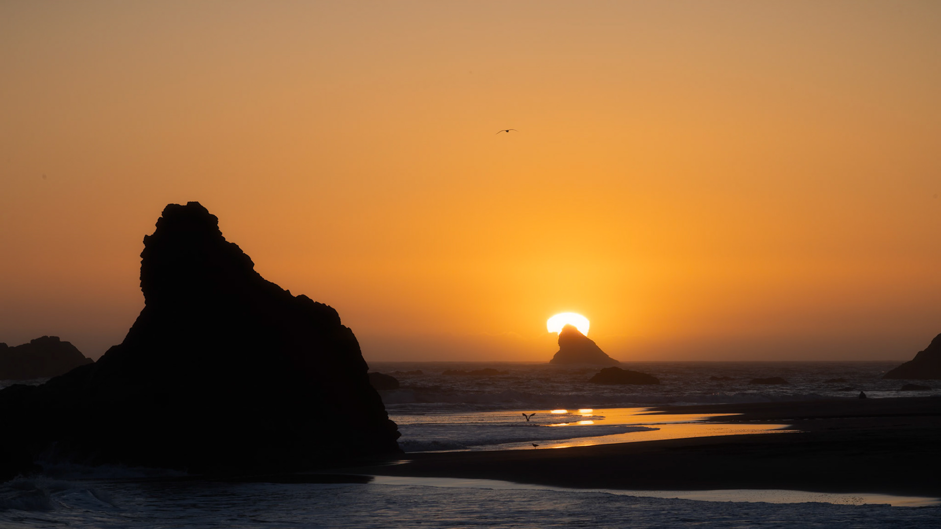 Harris Beach, Oregon