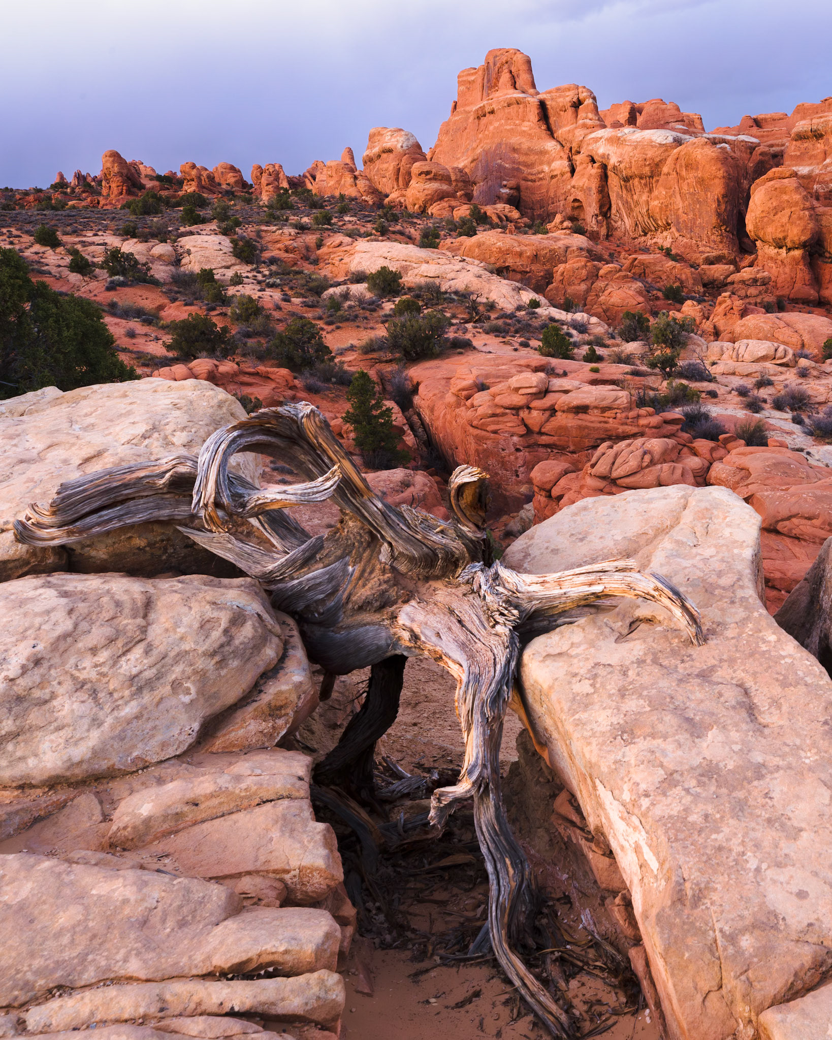 Fiery Furnace