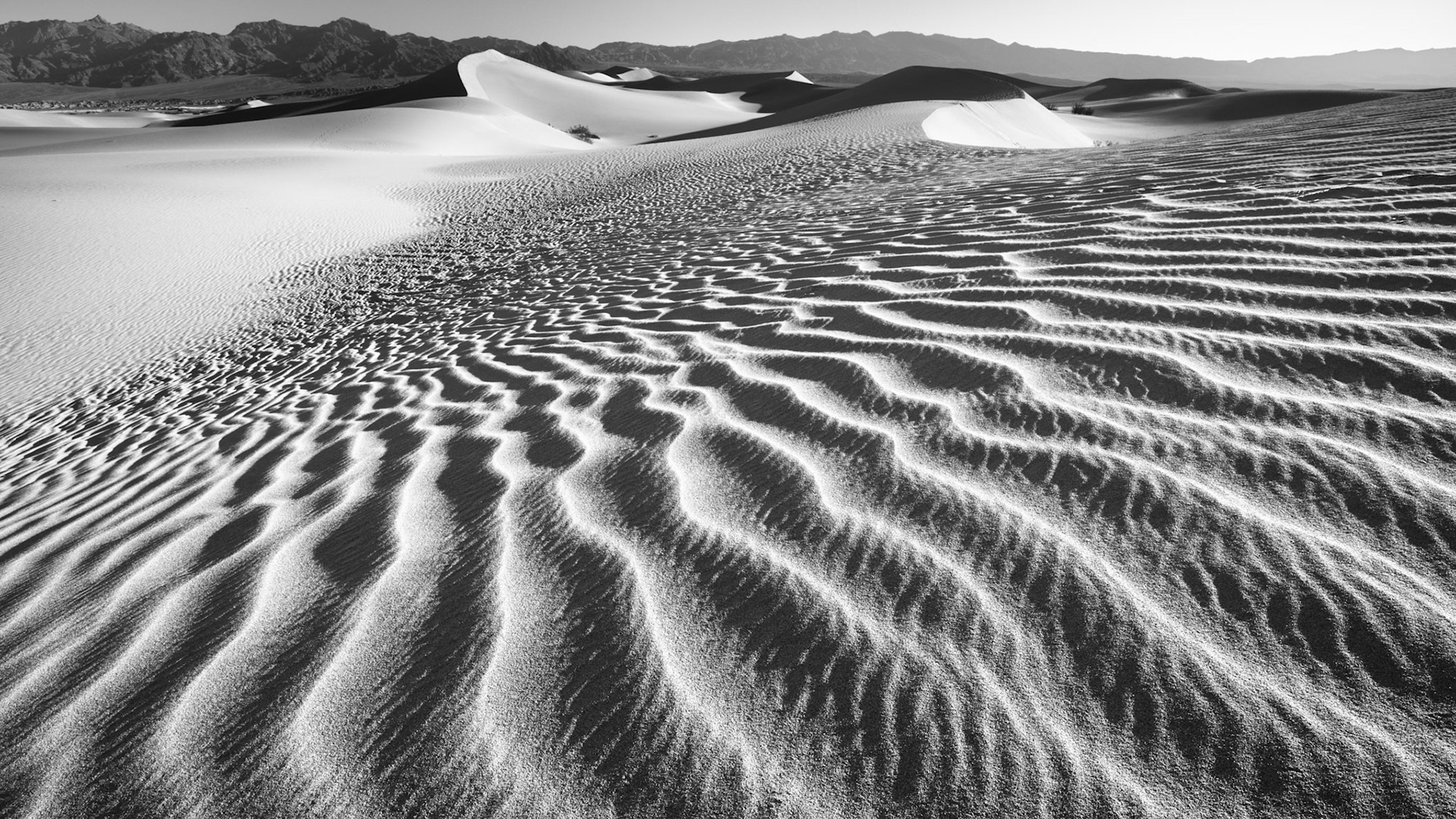 Mesquite Dunes