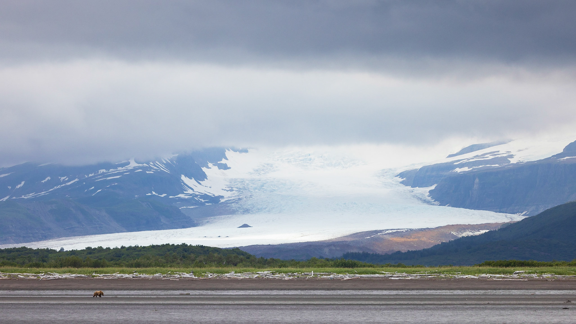 Hallo Bay, Katmai National Park