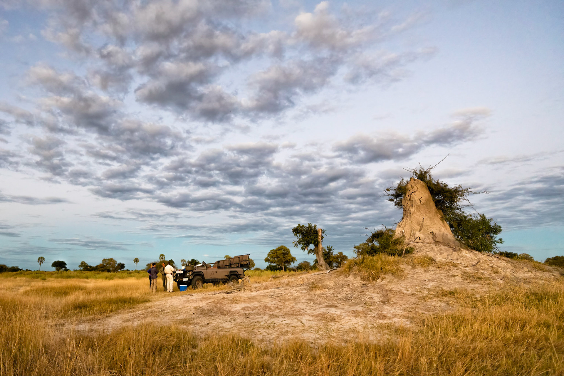 Evening cocktails by an old termite mound