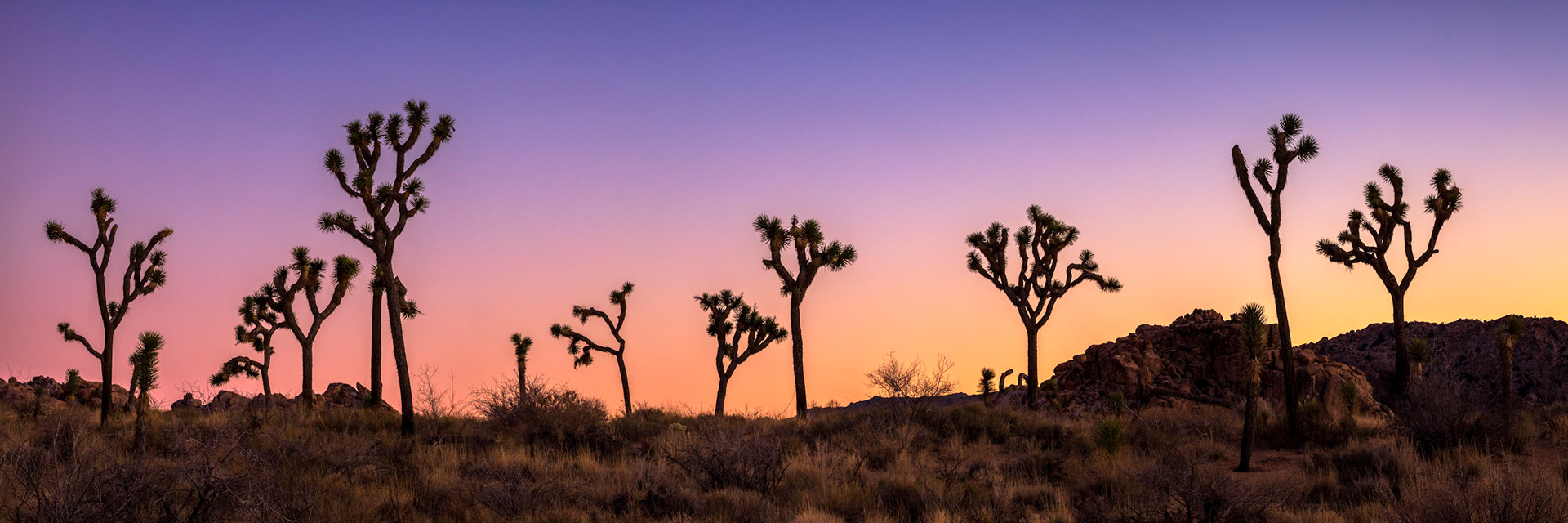 Joshua Tree, Hidden Valley