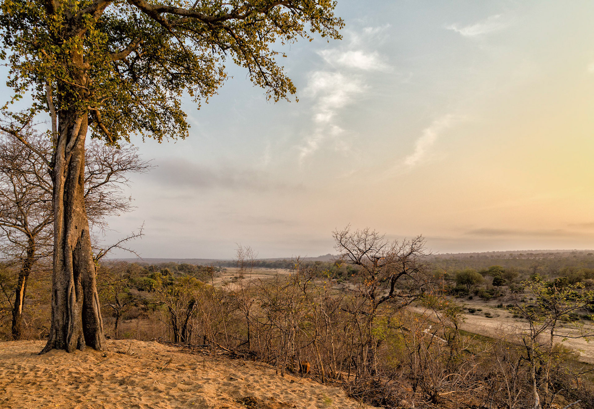 Sand River overlook at MalaMala Game Reserve