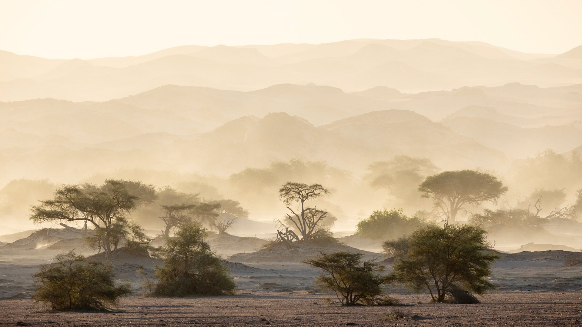 Sand storm at Hoanib Skeleton Coast camp