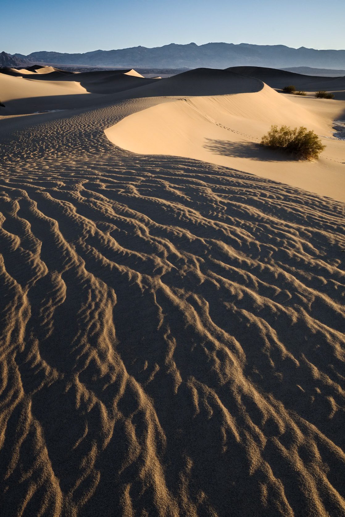 Death Valley, Mesquite Flat Sand Dunes