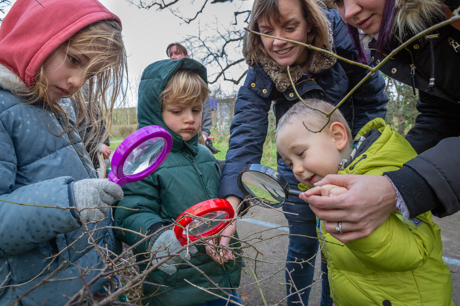 Educating local residents of the existence of rare hairstreak species in their area.
