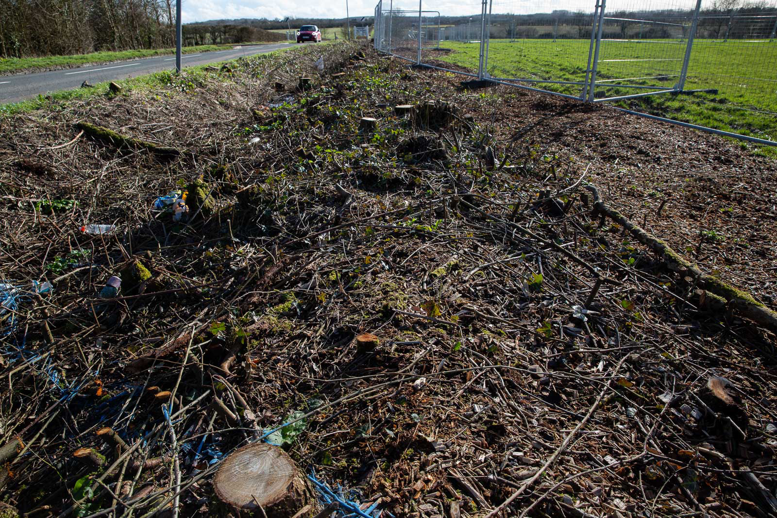 Blackthorn hedge removal, in this case for housing construction, has had a major impact on the fortunes of the rare Black Hairstreak butterfly