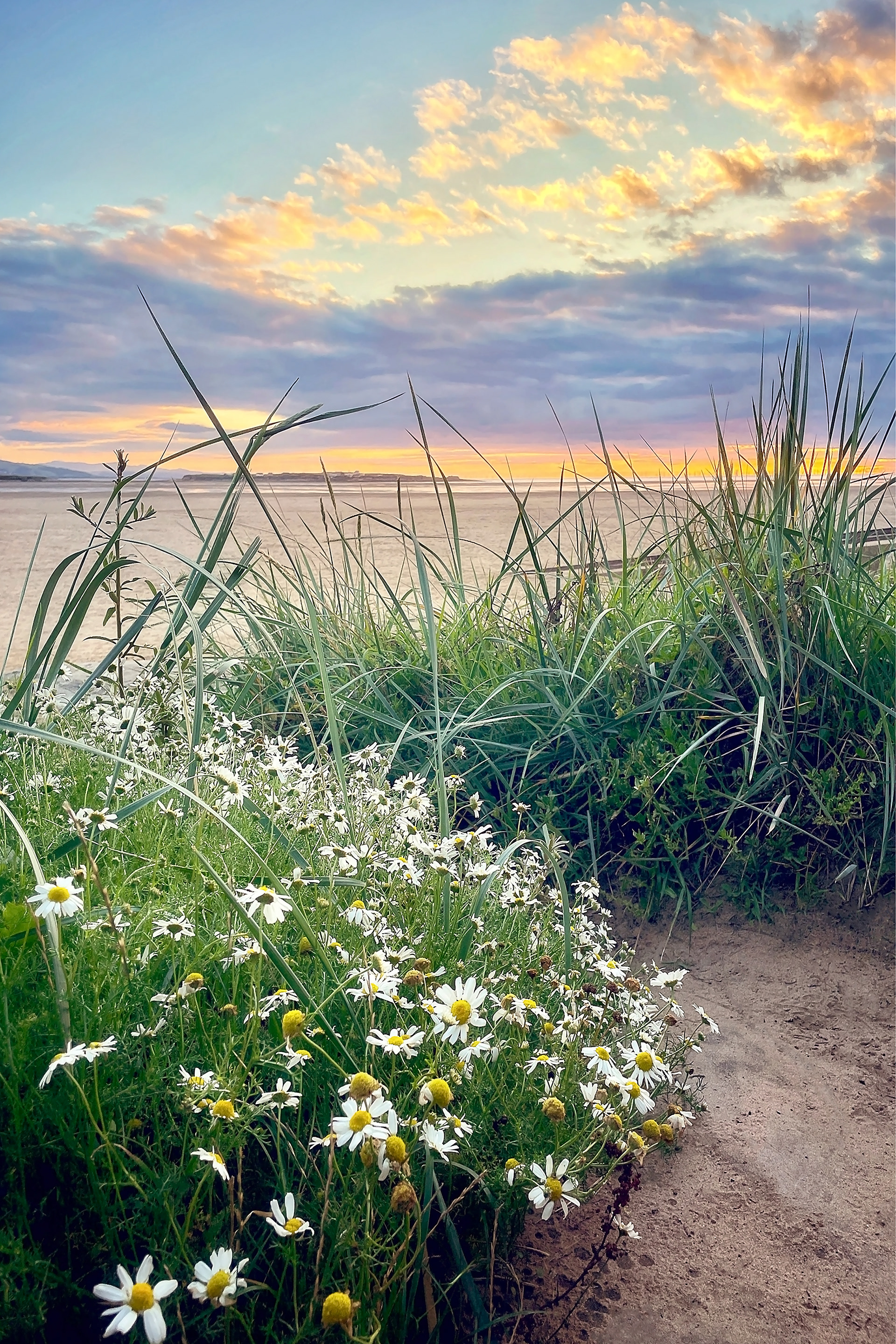 'Go Gently in to the Night' Red Rocks Beach, Hoylake
