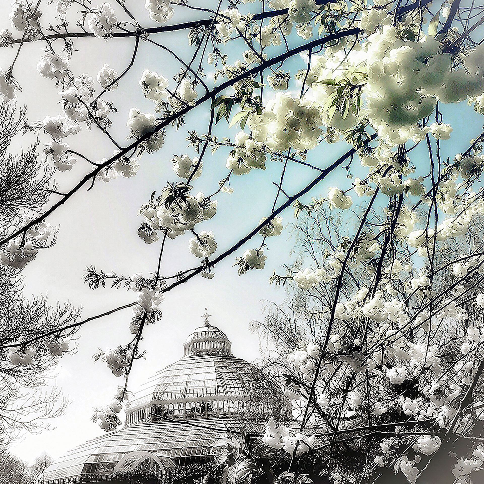 Spring at Sefton Park Palm House