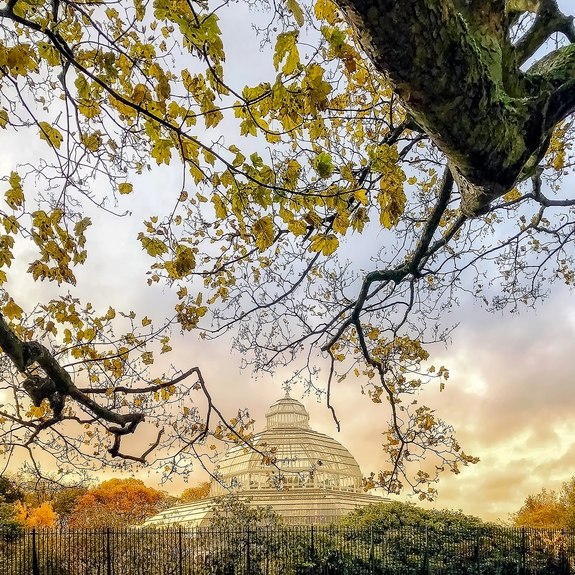 Autumn at Sefton Park Palm House