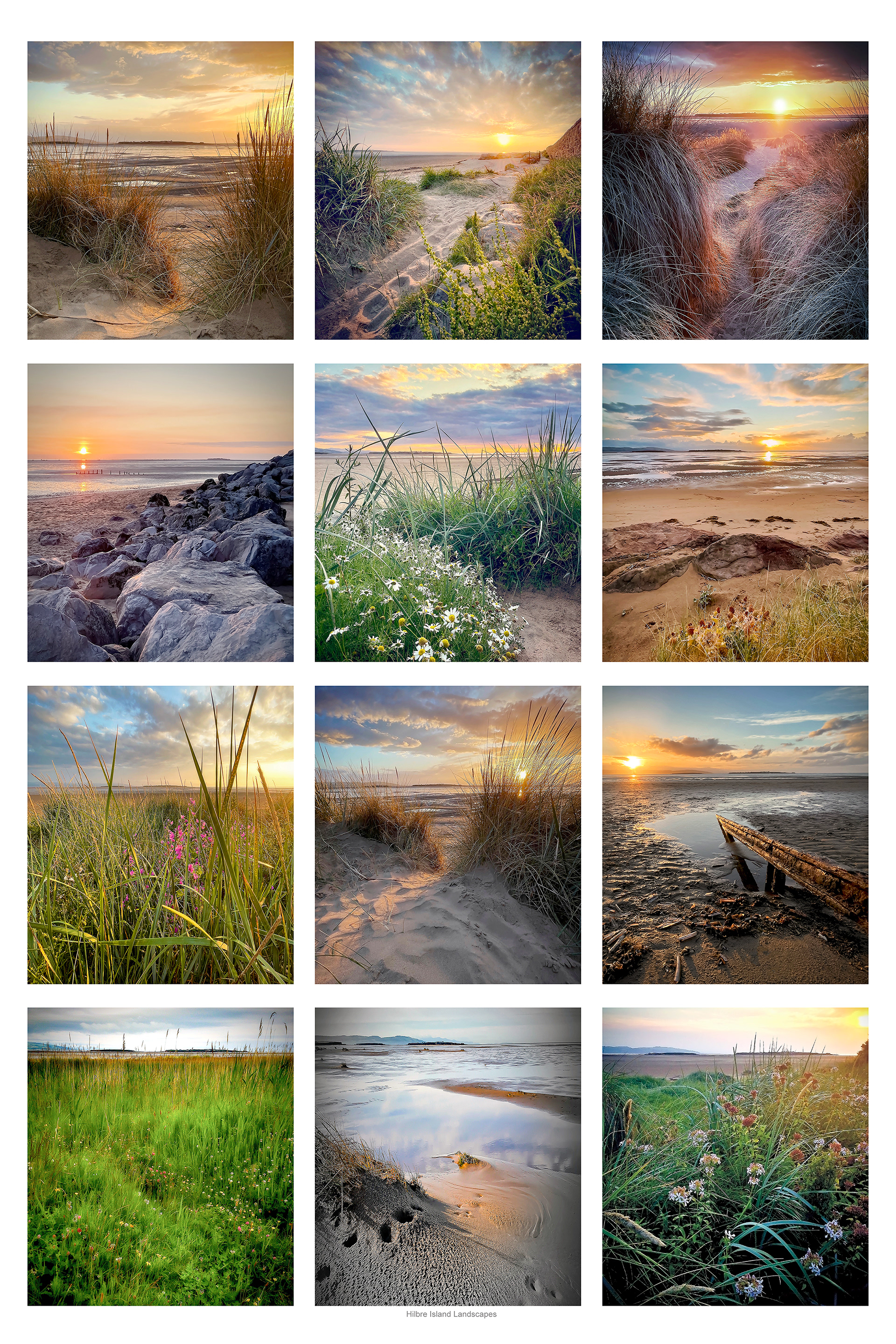 Hilbre Island Landscapes