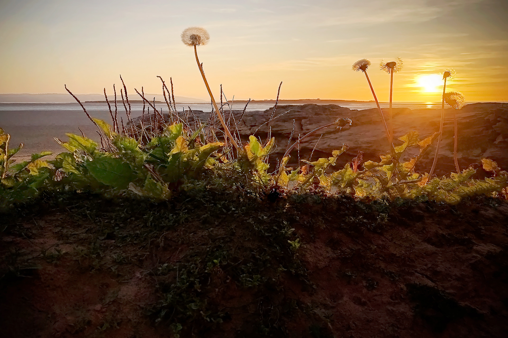 'A Dandelion Sunset' Red Rocks Beach, Hoylake
