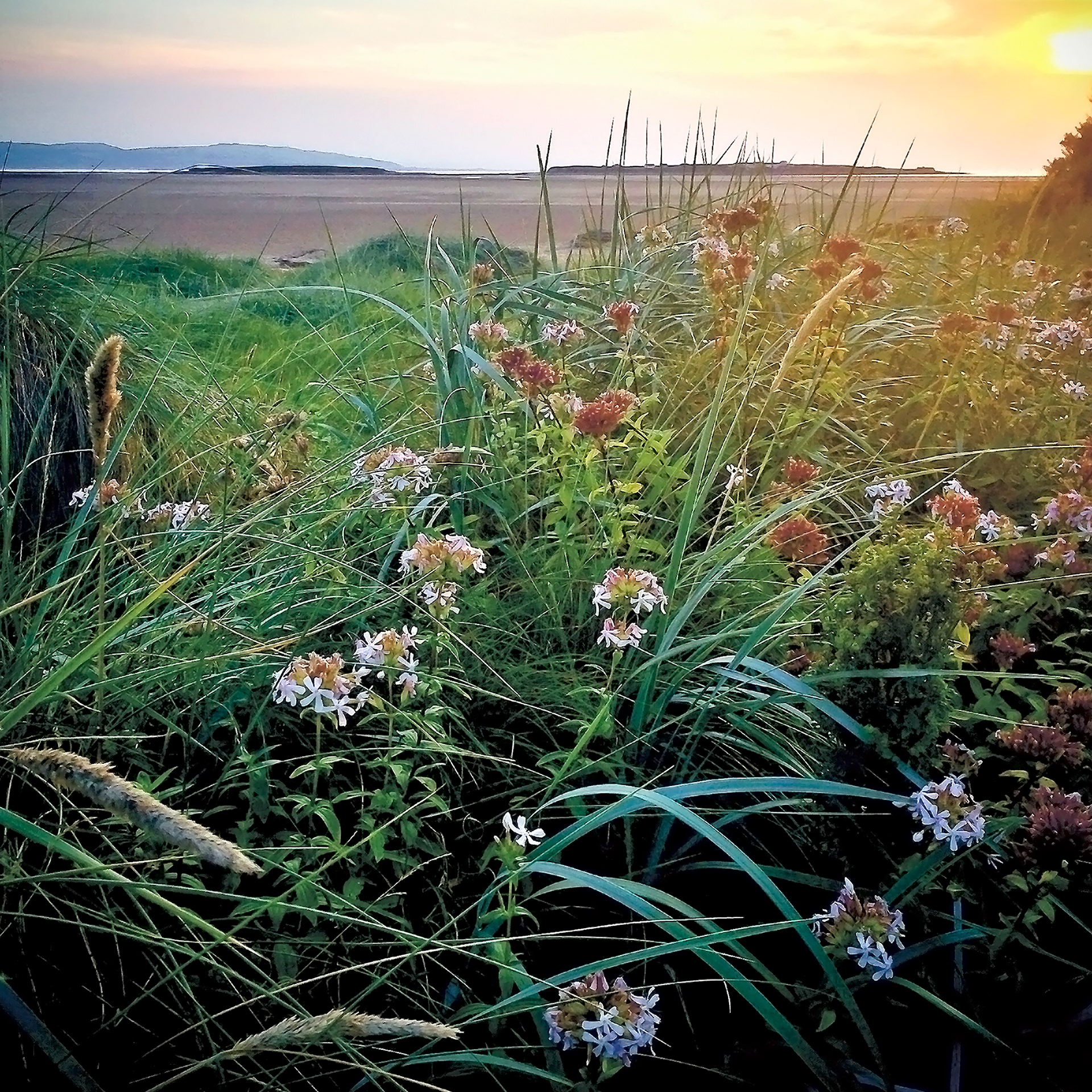 'At the fading of the day' Red Rocks Beach, Hoylake