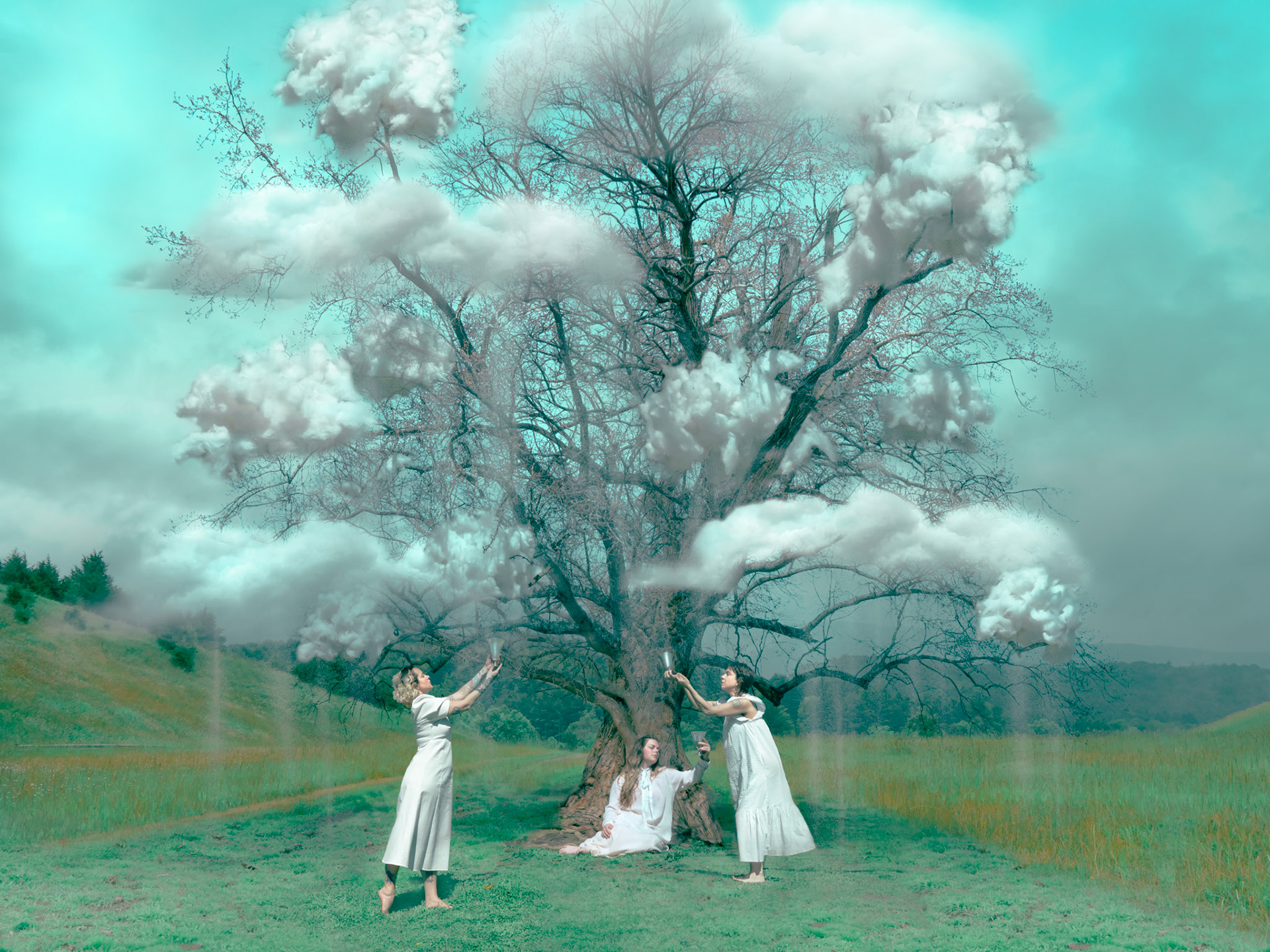 "Unified Field"