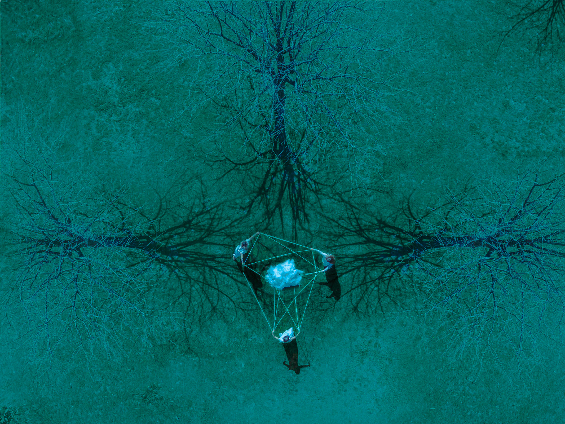"Cat's Cradle I"