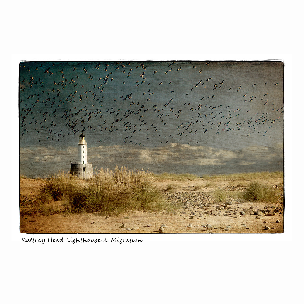 Rattray Head Lighthouse & Migration