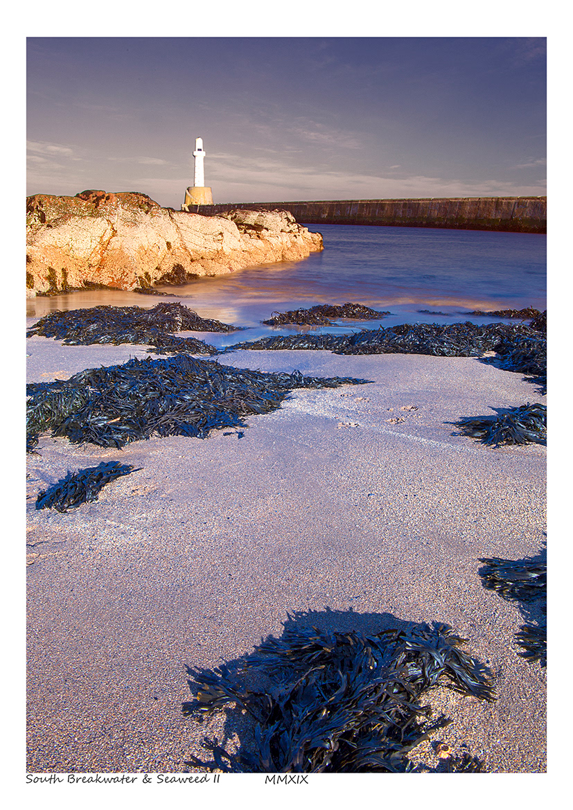 South Breakwater & Seaweed II (Aberdeen)