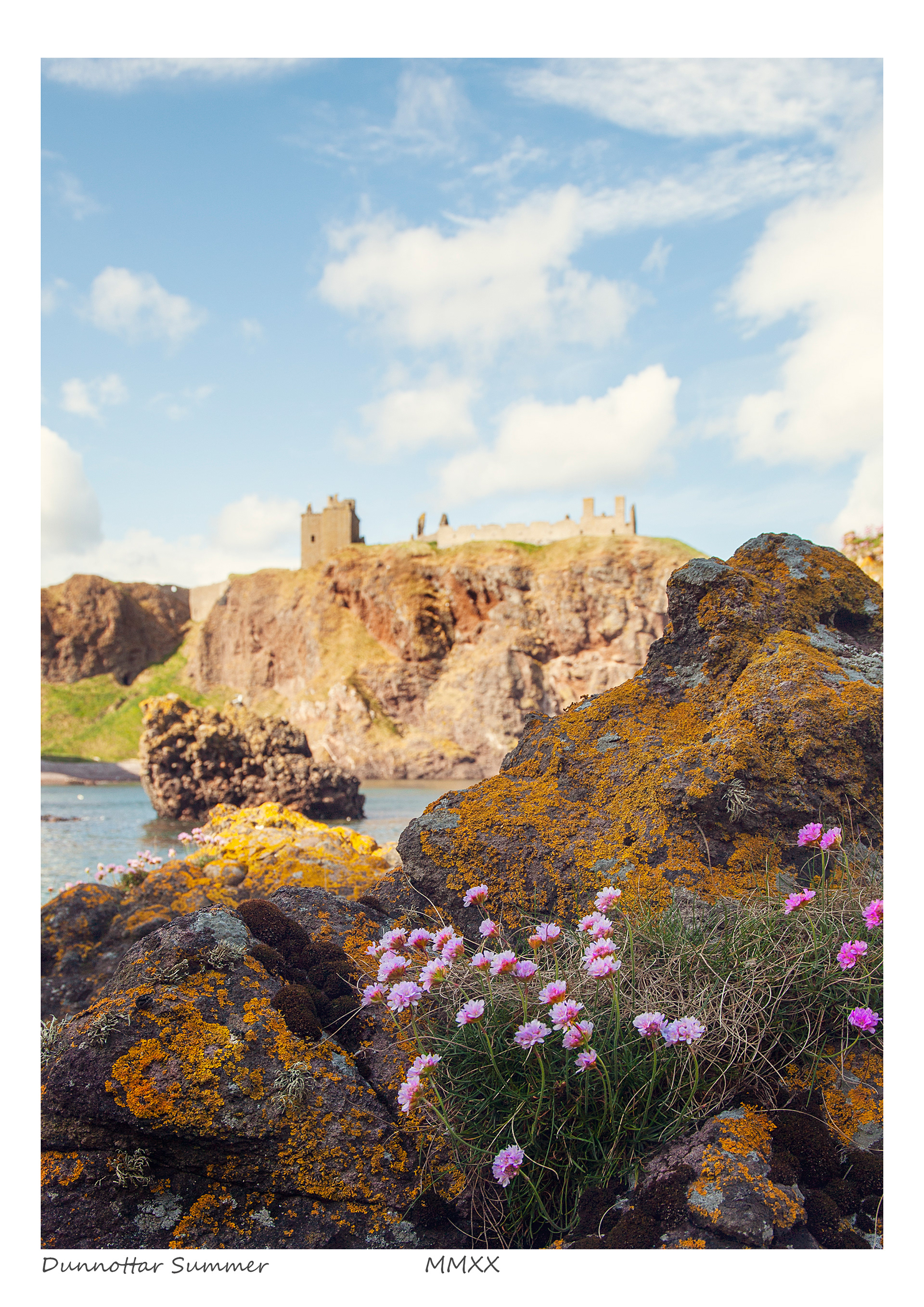 Dunnottar Summer
