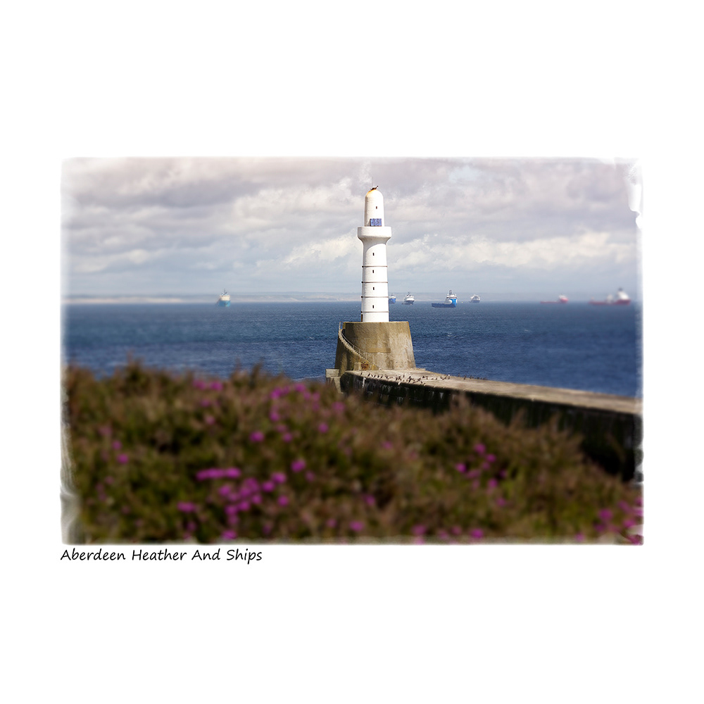 Aberdeen Heather And Ships