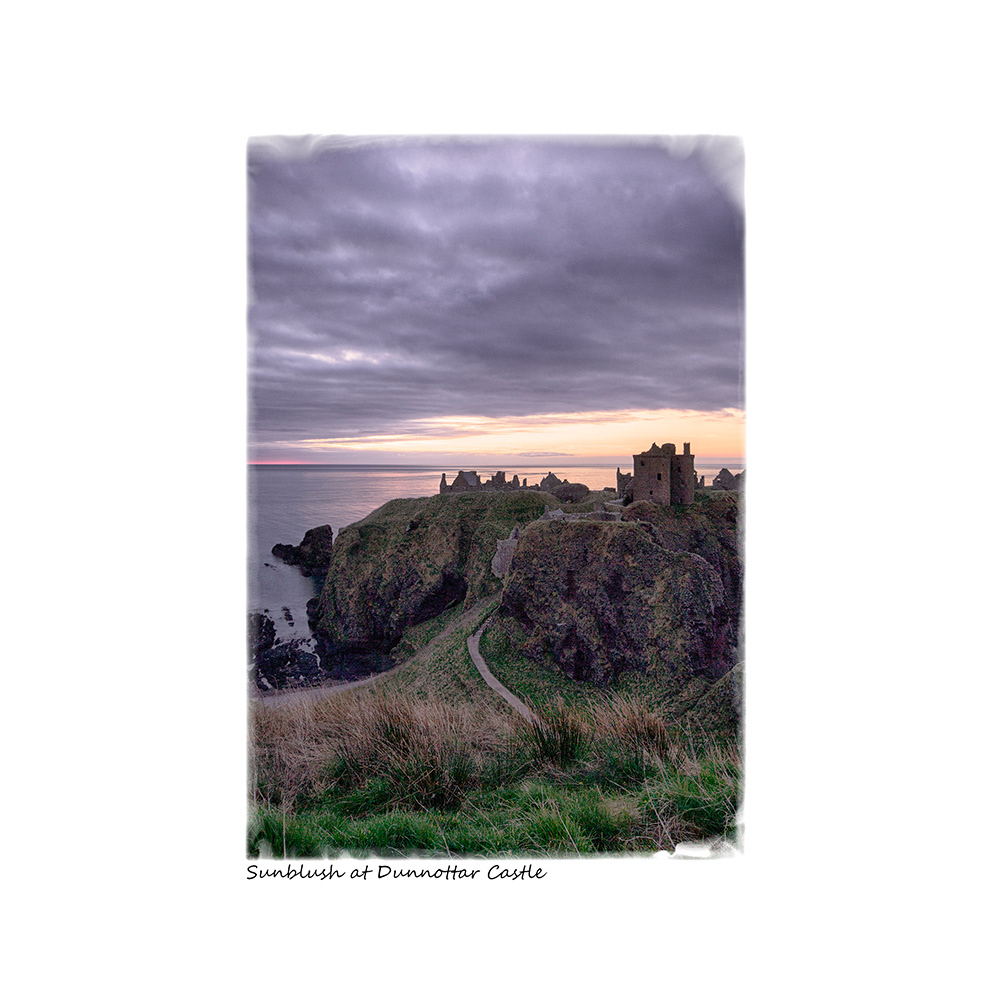 Sunblush at Dunnottar Castle