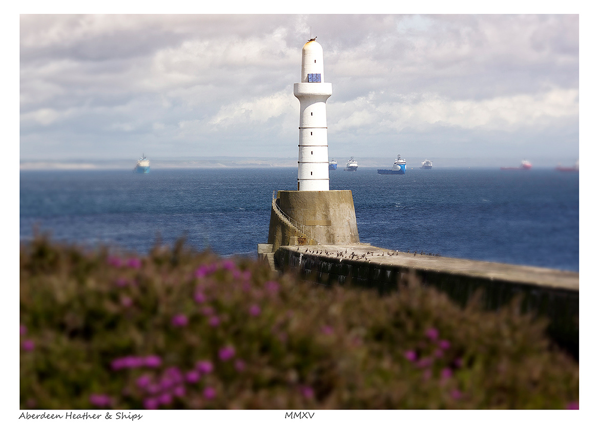 Aberdeen Heather & Ships