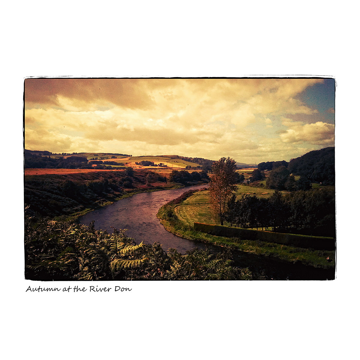 Autumn at the River Don